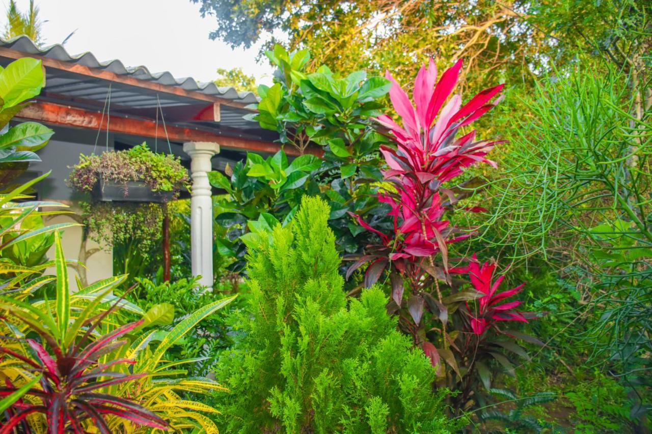 סיגירייה Sigiri Sandilu Homestay מראה חיצוני תמונה