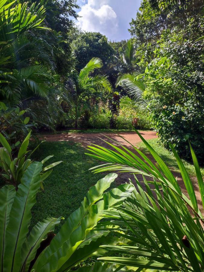 סיגירייה Sigiri Sandilu Homestay מראה חיצוני תמונה
