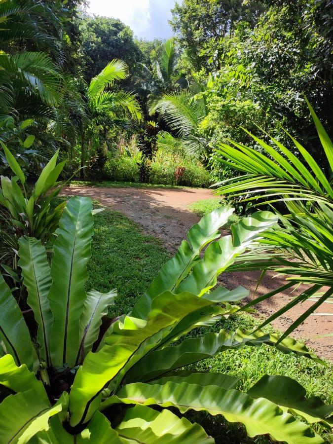 סיגירייה Sigiri Sandilu Homestay מראה חיצוני תמונה