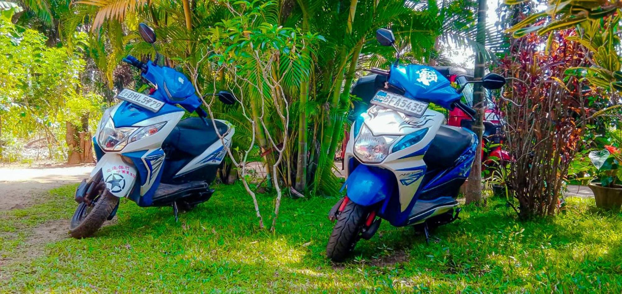 סיגירייה Sigiri Sandilu Homestay מראה חיצוני תמונה